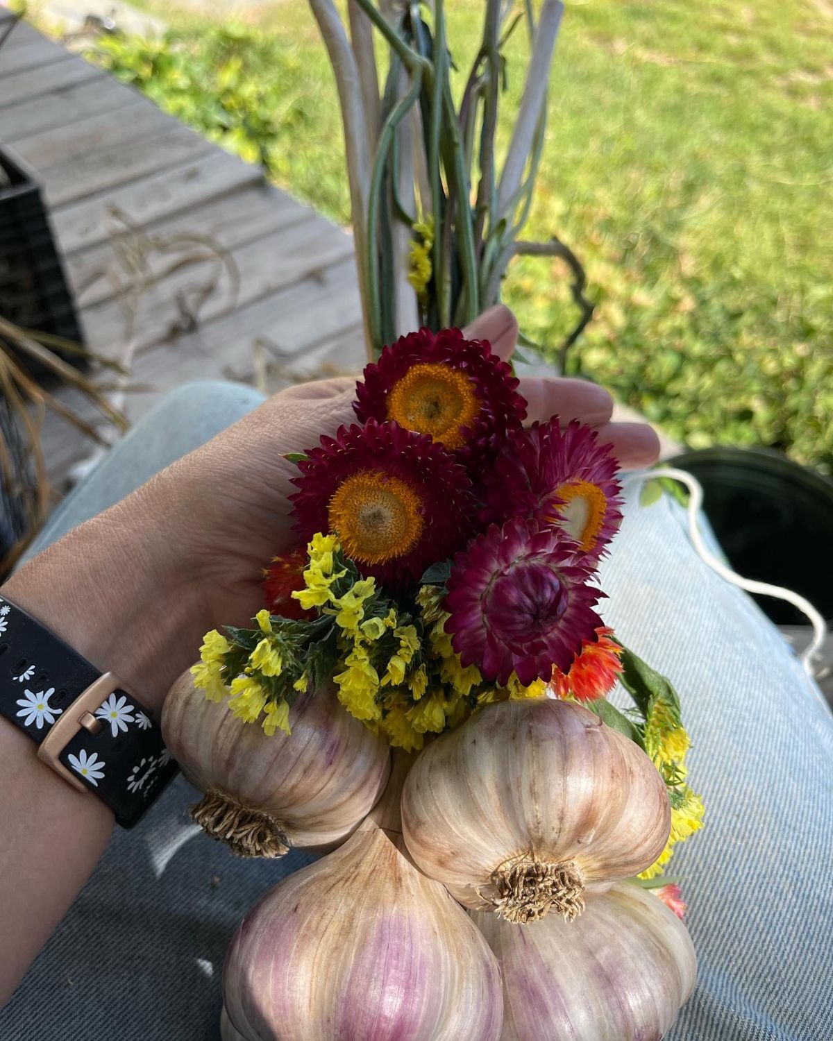 Strawflower added to statice on a garlic braid