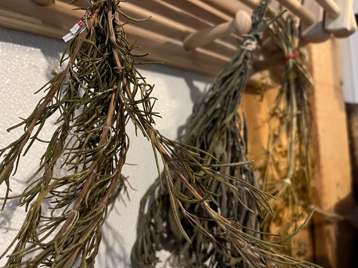 herb bundles drying on a peg board