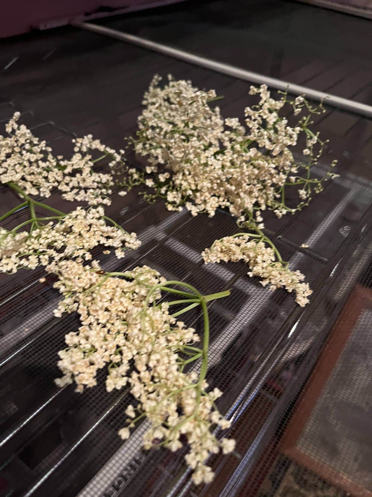 Expandable window screens used for drying herbs