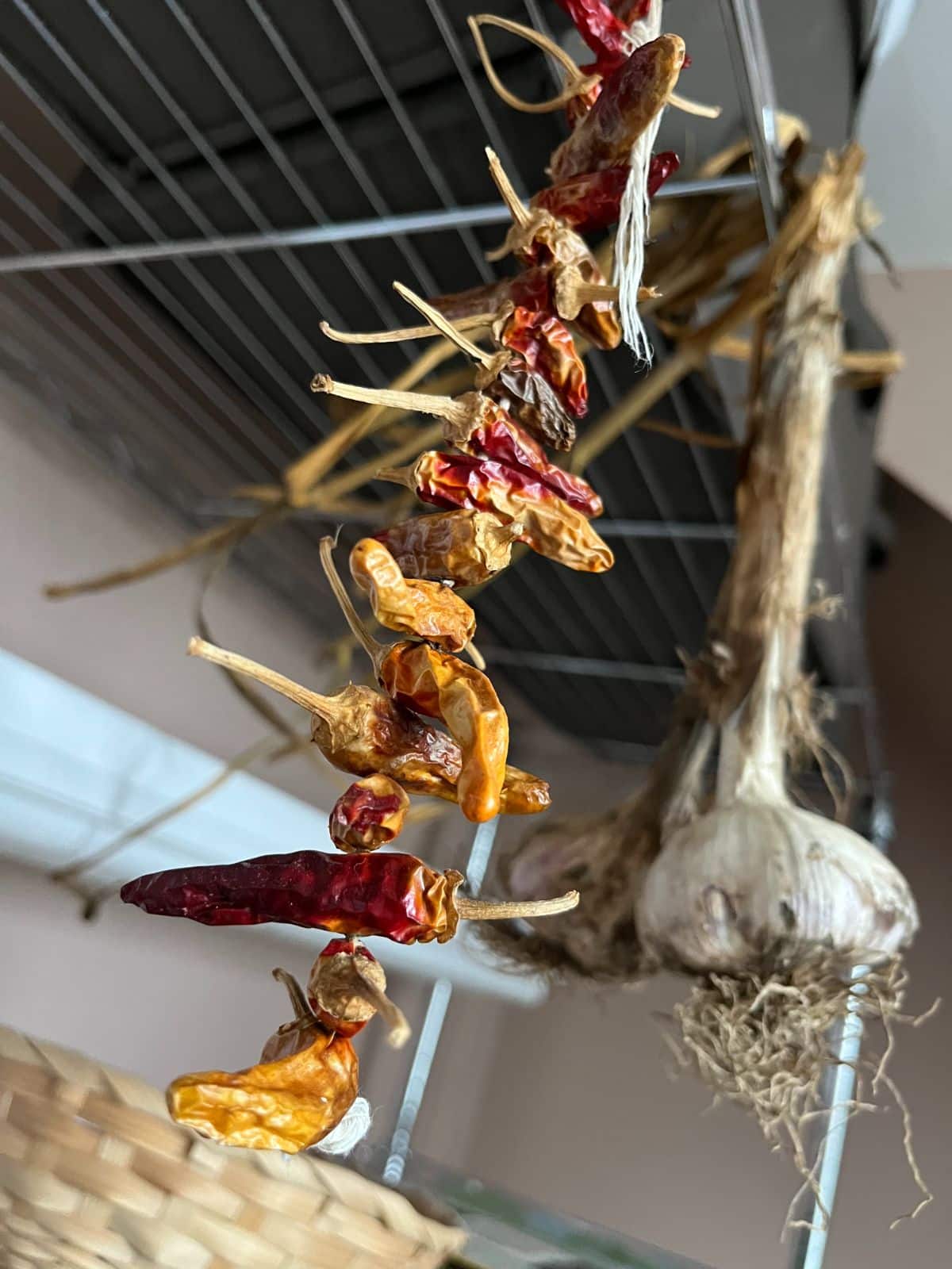 Herb bundles hanging from a metal wire rack