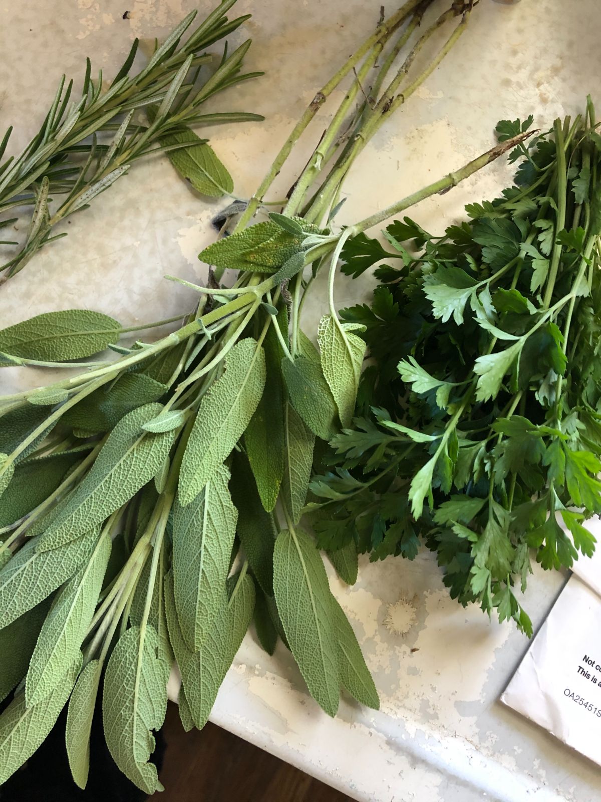 Fresh herbs being bundled for drying
