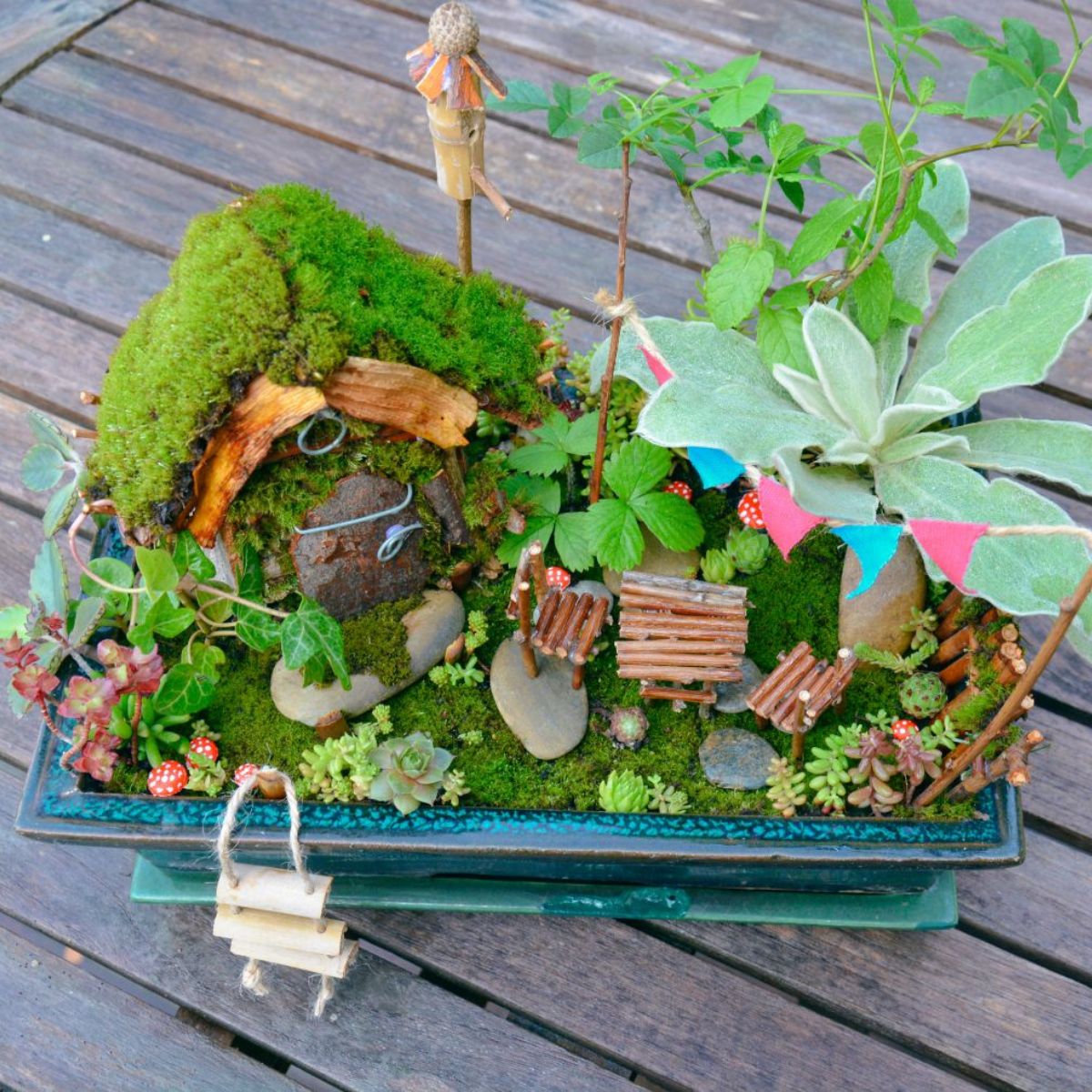 How to Grow an Indoor Potted Fairy Garden + 10 Tiny Plants for It
