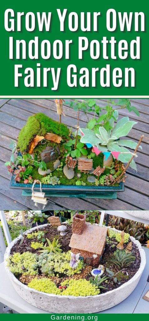 Grow Your Own Indoor Potted Fairy Garden pinterest image.