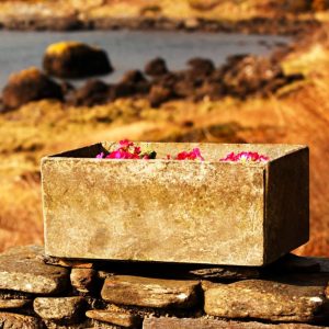 A square stone planter with purple blooming flowers.