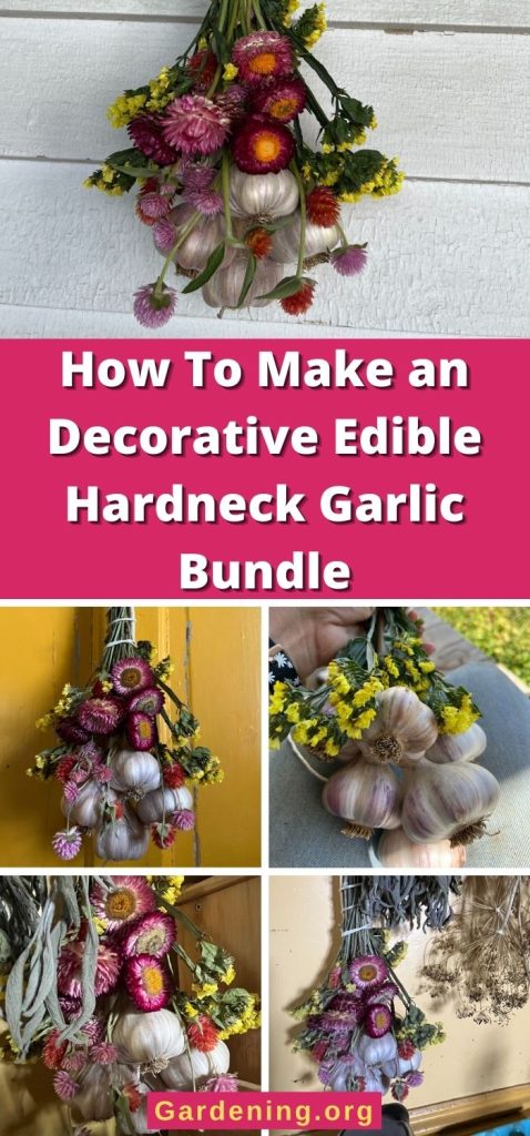 How To Make an Decorative Edible Hardneck Garlic Bundle pinterest image.