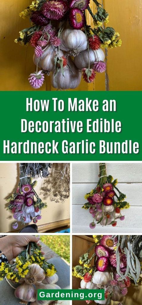 How To Make an Decorative Edible Hardneck Garlic Bundle pinterest image.