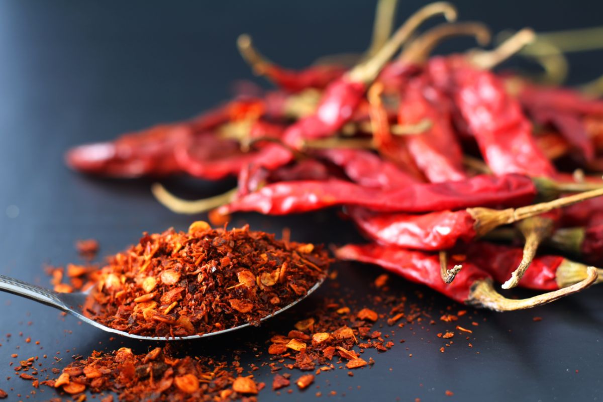 Dried red peppers are turned into red pepper flakes