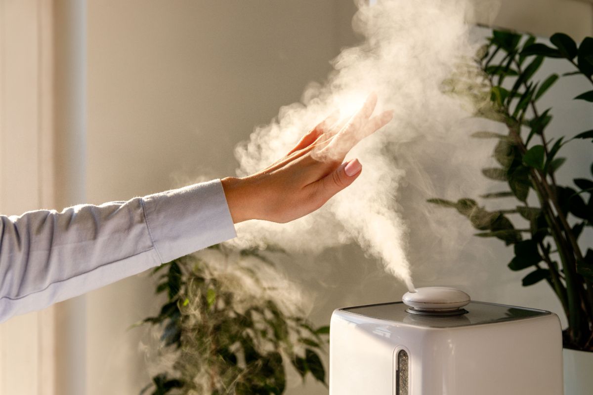 A home humidifier boosting the humidity in a room full of plants