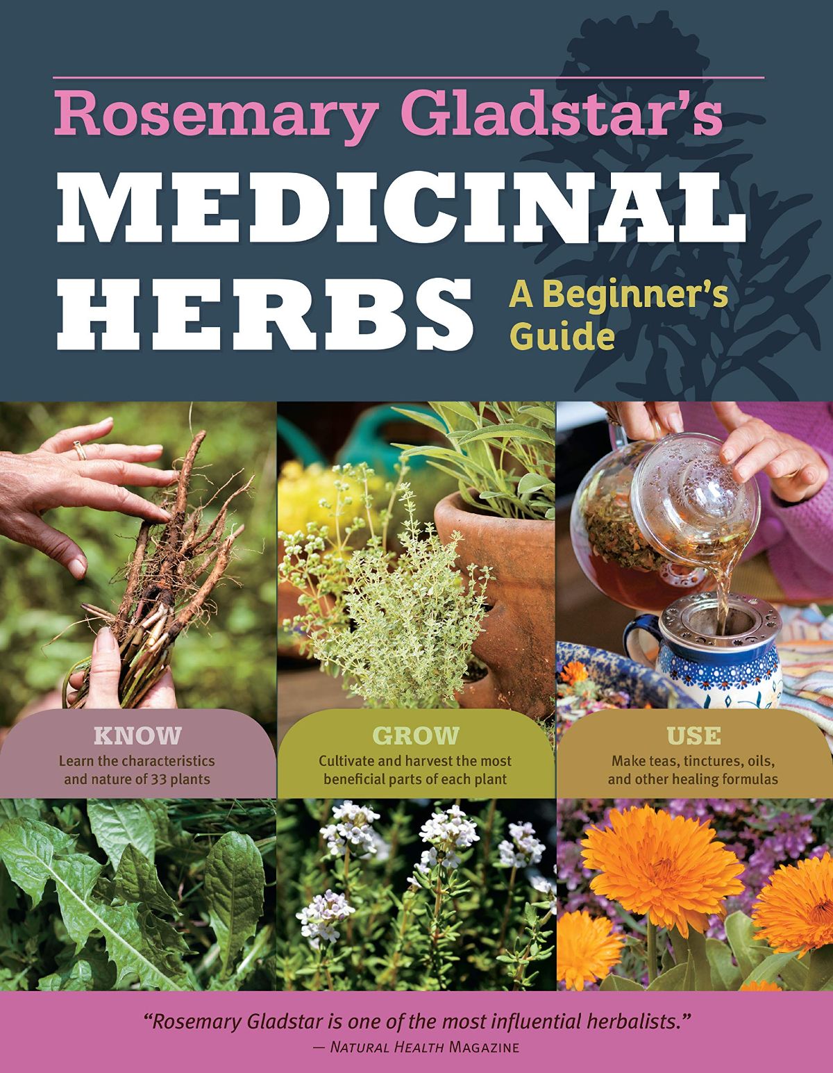 Picture of the cover of the book Medicinal Herbs: A Beginner's Guide by Rosemary Gladstar