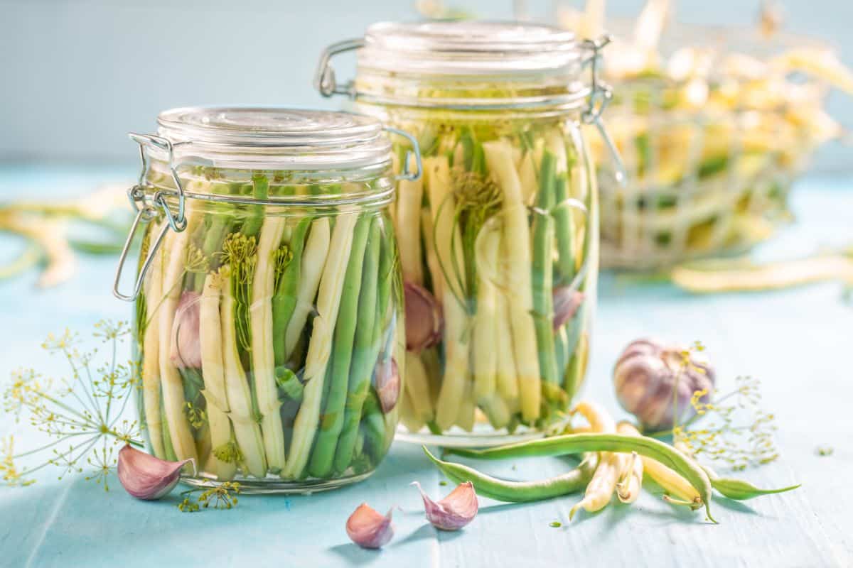 Classic Dilly Beans made via fermentation instead of canning