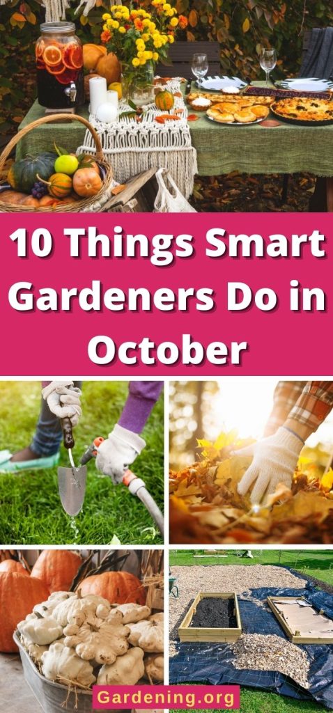 10 Things Smart Gardeners Do in October pinterest image.