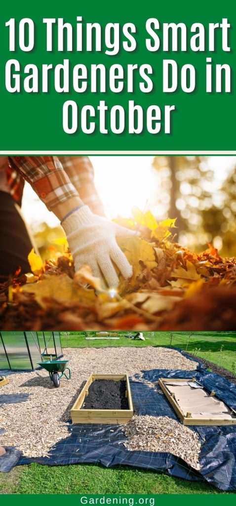 10 Things Smart Gardeners Do in October pinterest image.
