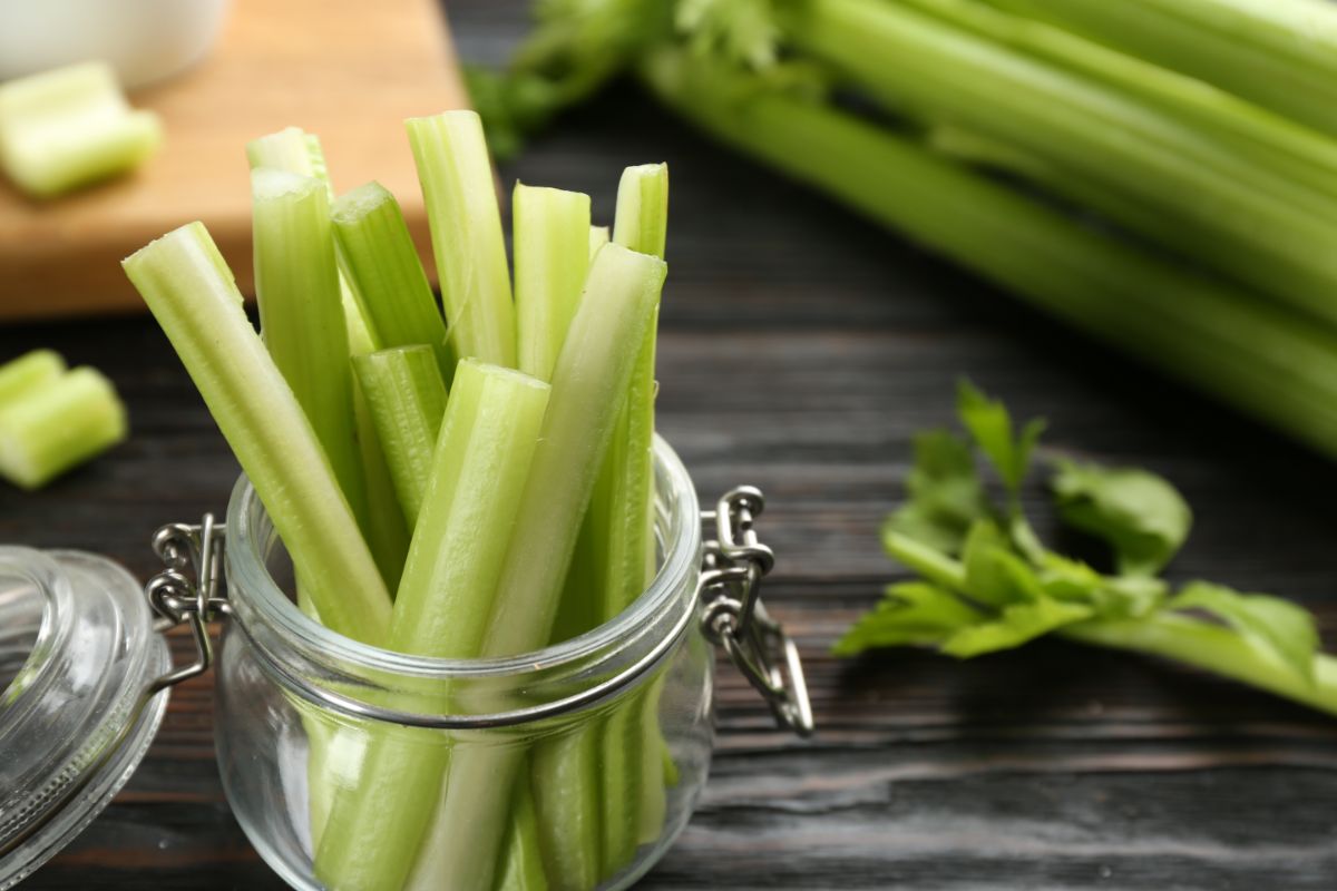 Celery stalks are fermented for preserving