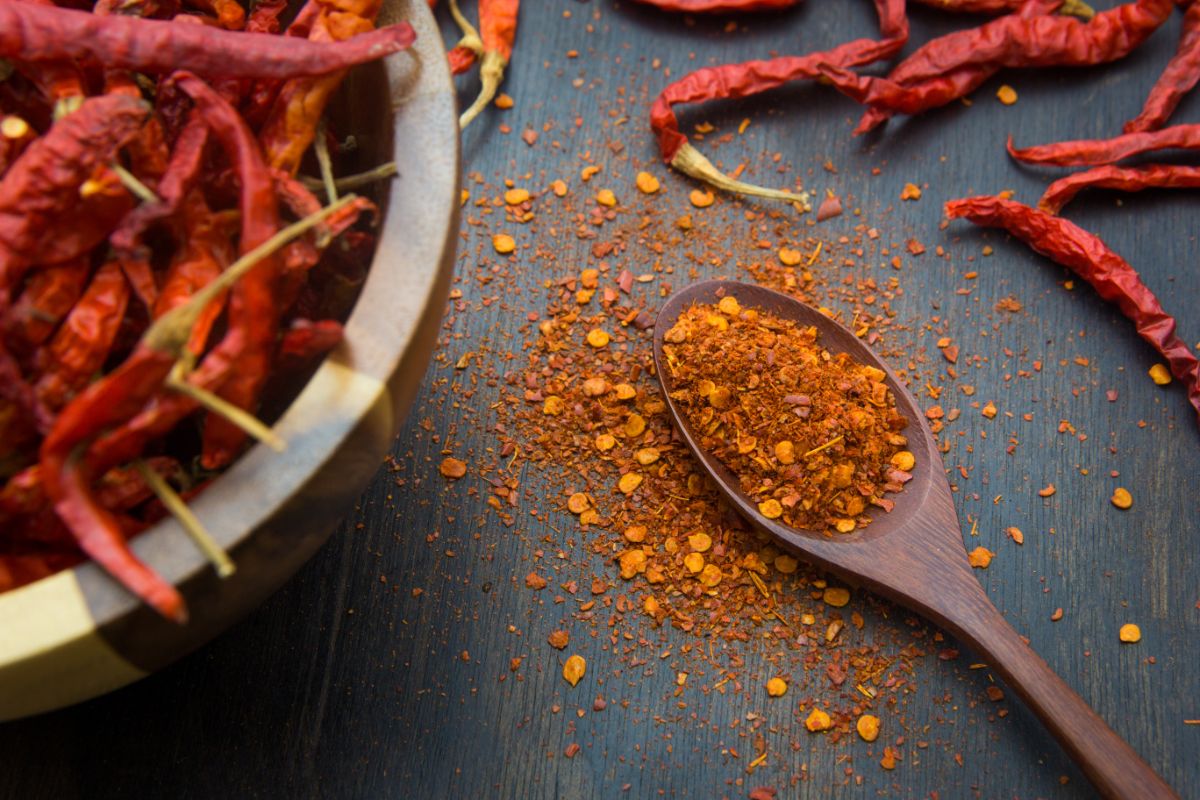 Cayenne pepper commonly grown for dried spice 