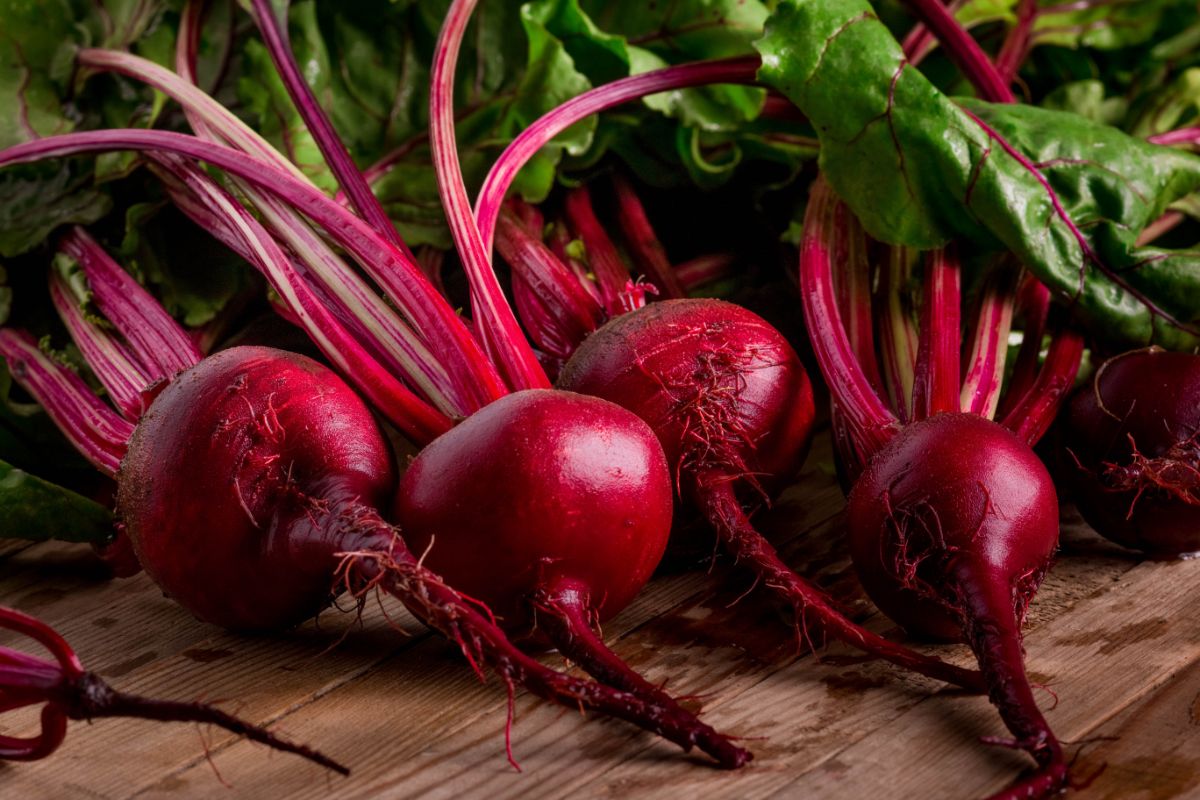 Fresh bright red beets will be used to make red dye