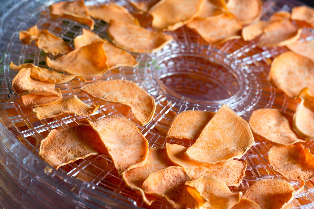 Dried sliced sweet potatoes are a healthier snack alternative