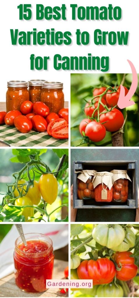 15 Best Tomato Varieties to Grow for Canning pinterest image.