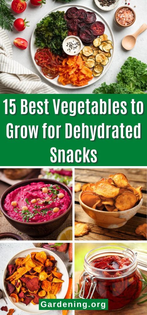 15 Best Vegetables to Grow for Dehydrated Snacks pinterest image.