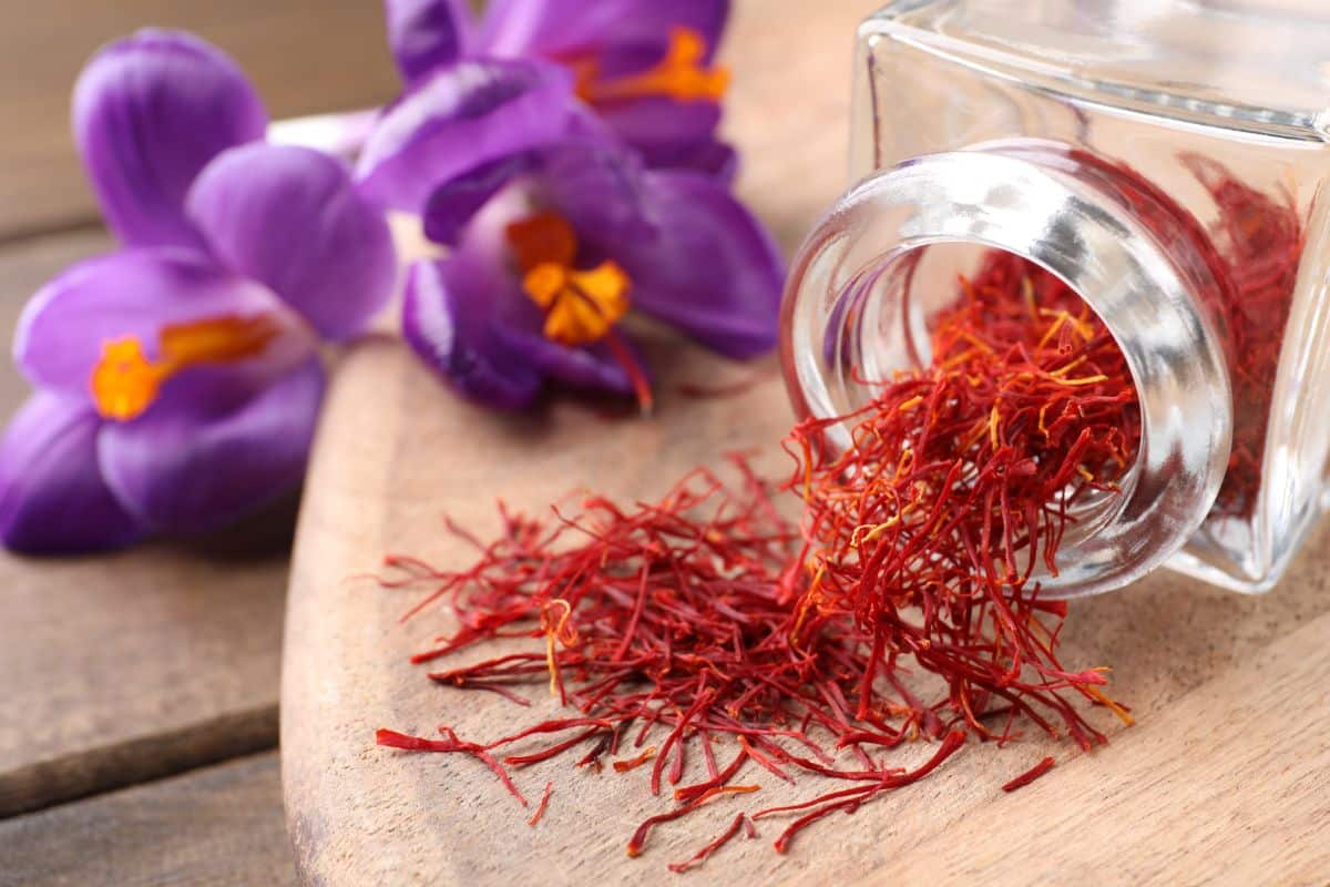 Saffron stigmas are stored in an airtight container