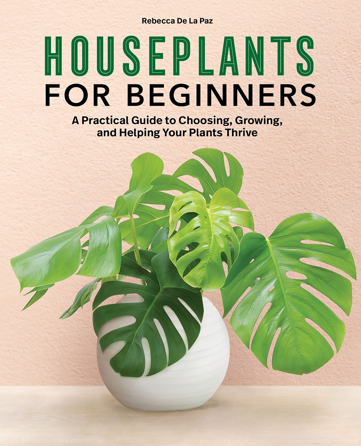 Picture of a book cover of Houseplants for Beginners by Rebecca De La Paz