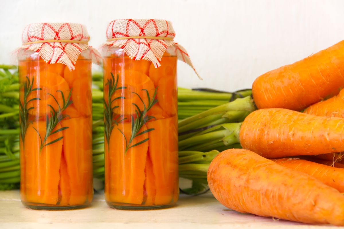 Carrots are jarred after fermenting