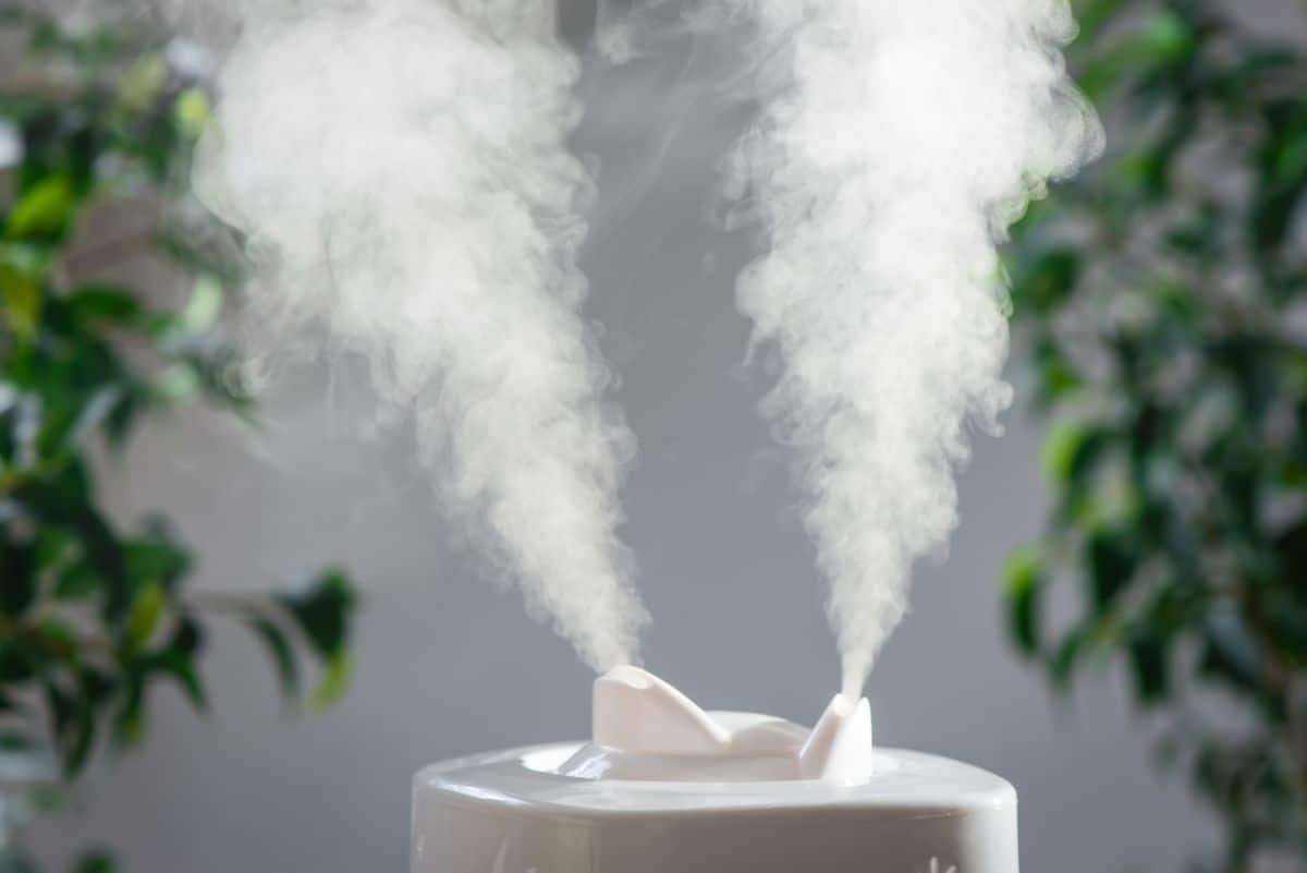 A room humidifier with two mist spouts