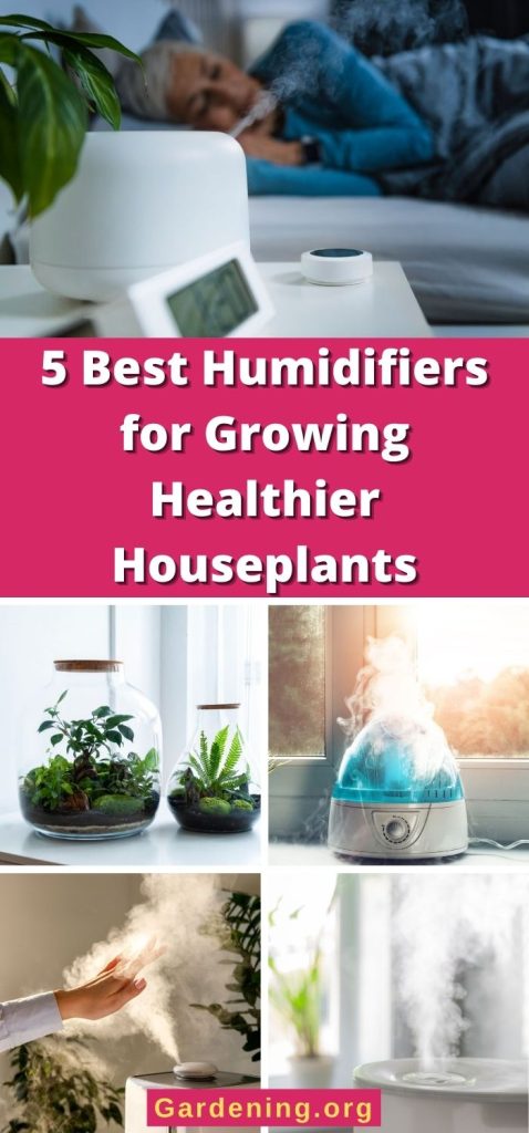 5 Best Humidifiers for Growing Healthier Houseplants pinterest image.
