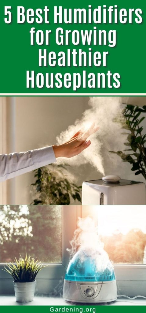 5 Best Humidifiers for Growing Healthier Houseplants pinterest image.