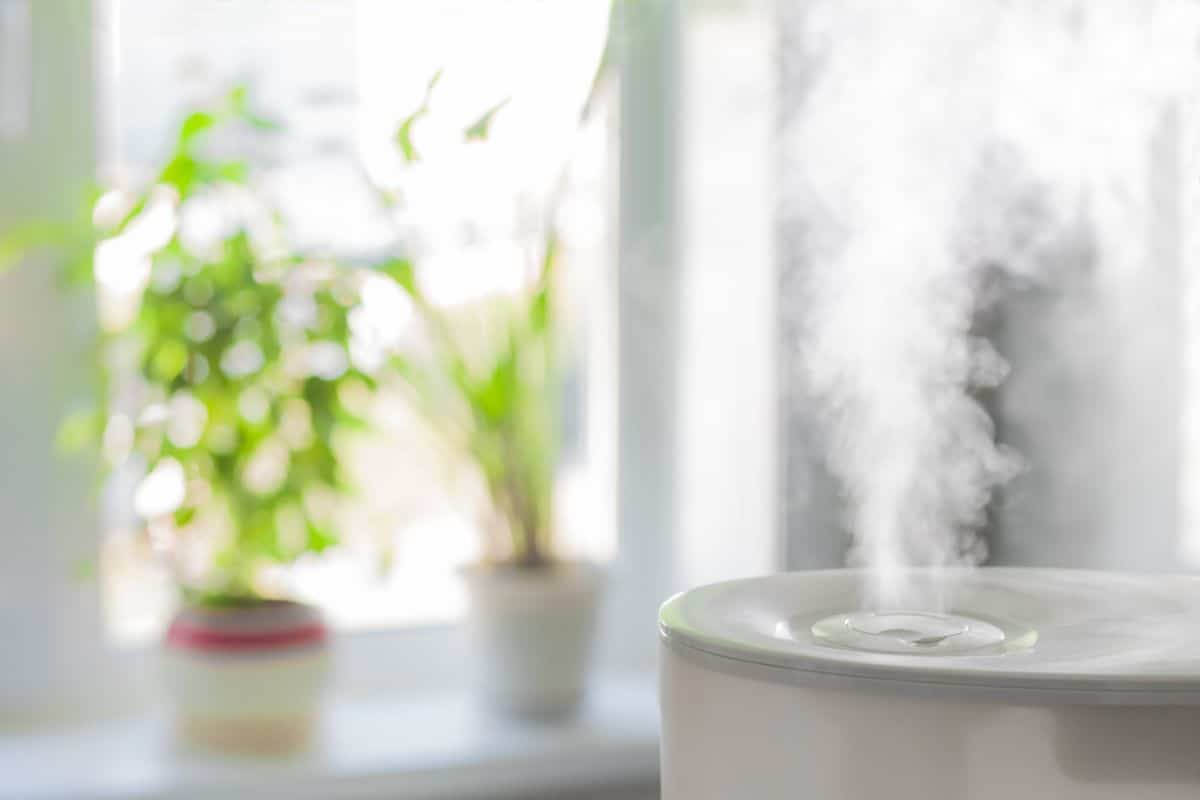 A humidifier used to boost indoor plant growth