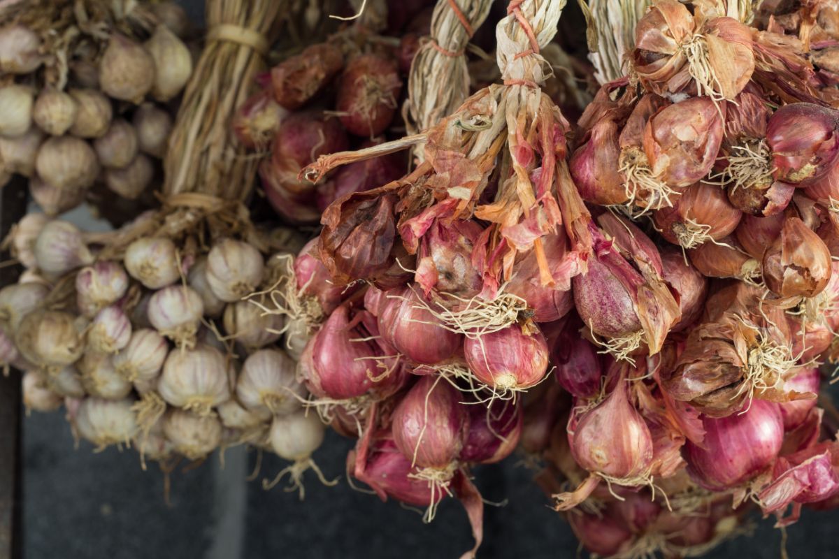 15 Tested Tips for Using, Storing and Growing Shallots