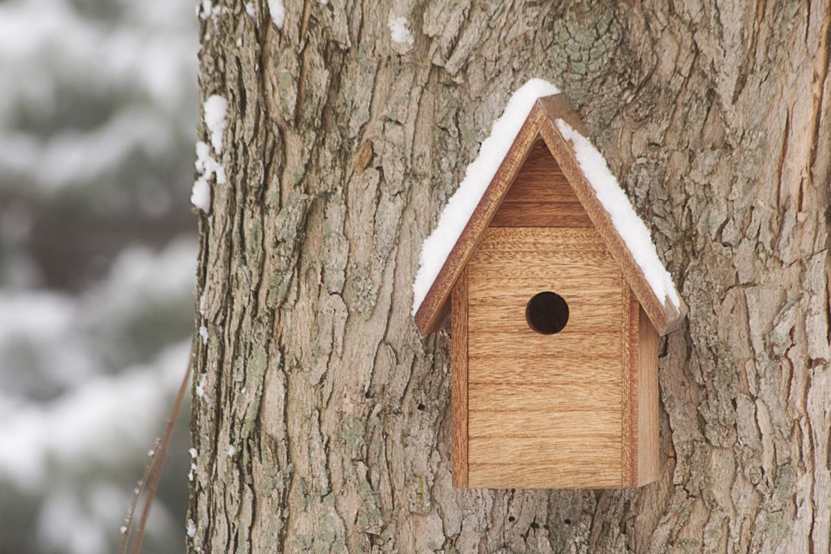 A bird house hanging in a tree.