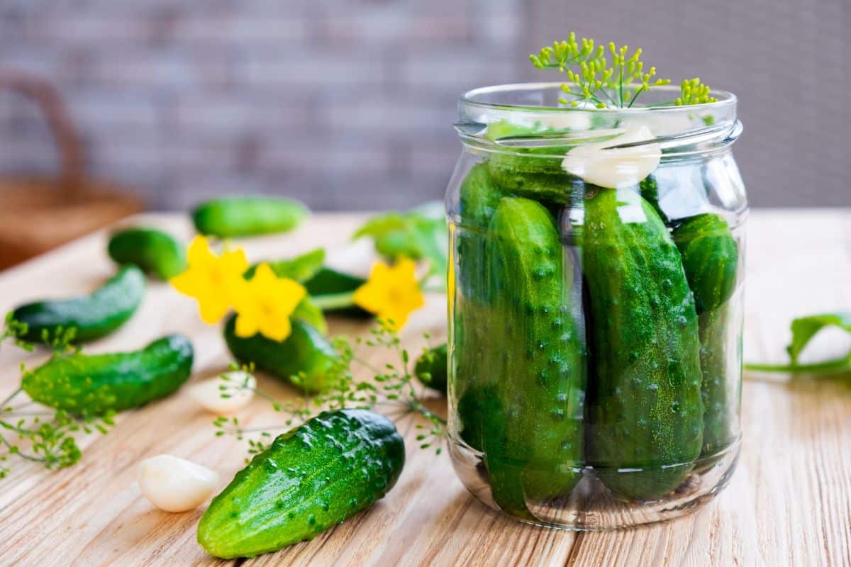 Fermented pickles have great fresh flavor and classic dill crunch