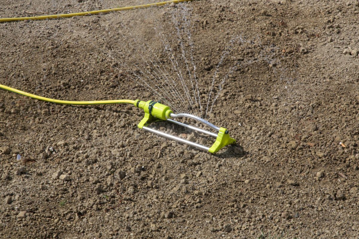 A sprinkler deliver water to clover seeds as they get established