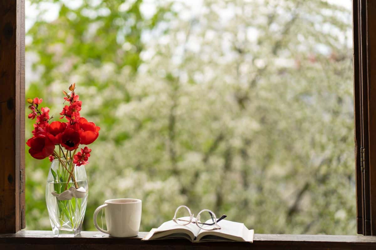 A vase of flowers and a book and cup of tea on a window sill