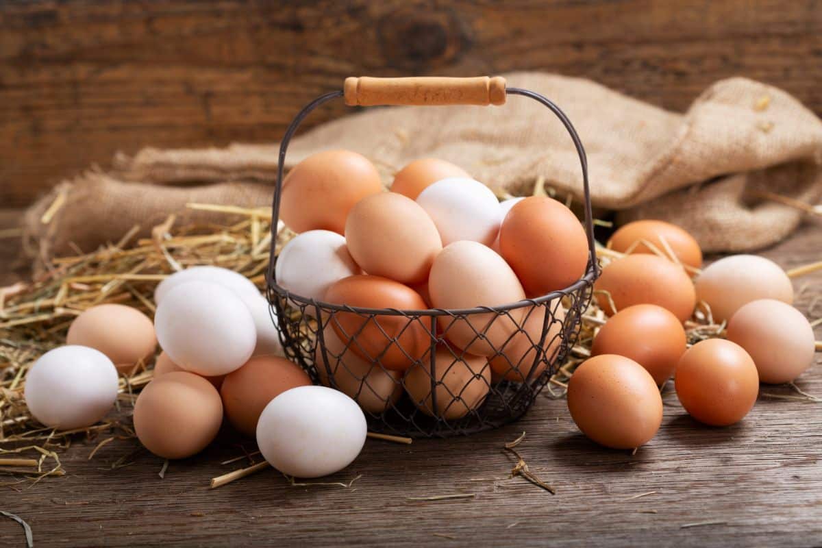 A basket full of homegrown eggs in various colors