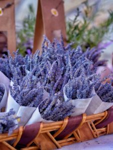 cropped-7-lavender.jpg