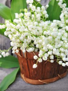 cropped-lily-of-the-valley-bouquet.jpg