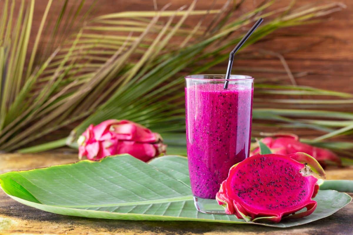 A bright purple smoothie made from edible cactus