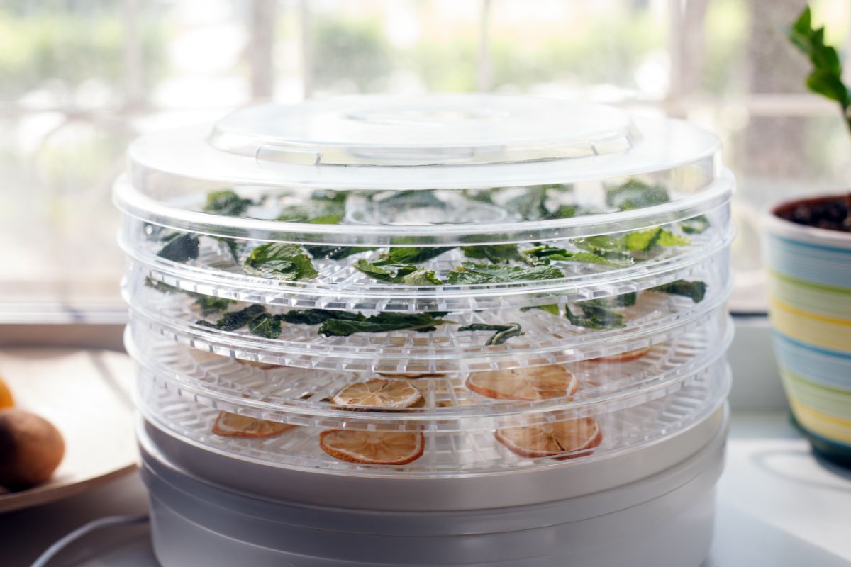 A dehydrator is filled with healthful dried snacks