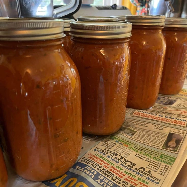 A bunch glass jars full of roasted tomato sauce.