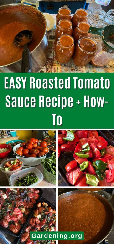 EASY Roasted Tomato Sauce Recipe + How-To pinterest image.