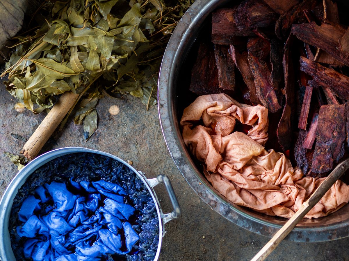 Pots of plants dyeing cloth naturally