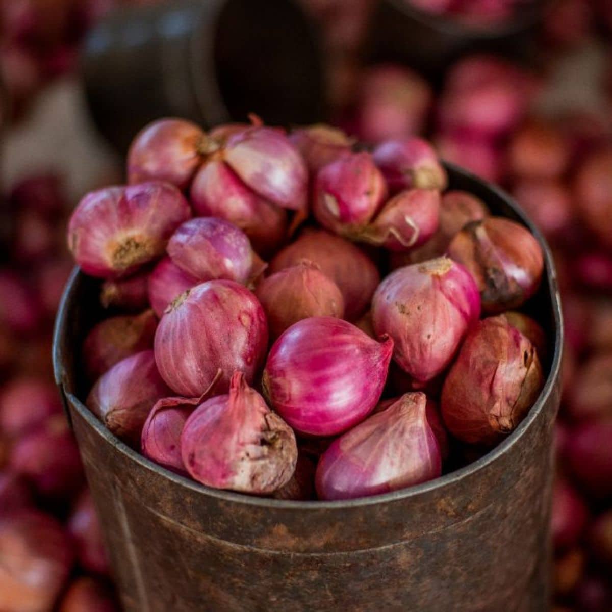 Substitute onion for shallot, but scallions are a little trickier