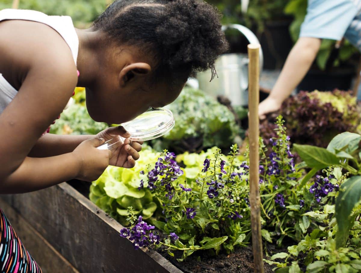 A young girl exploring in the garden and looking at plants through a magnifying glass