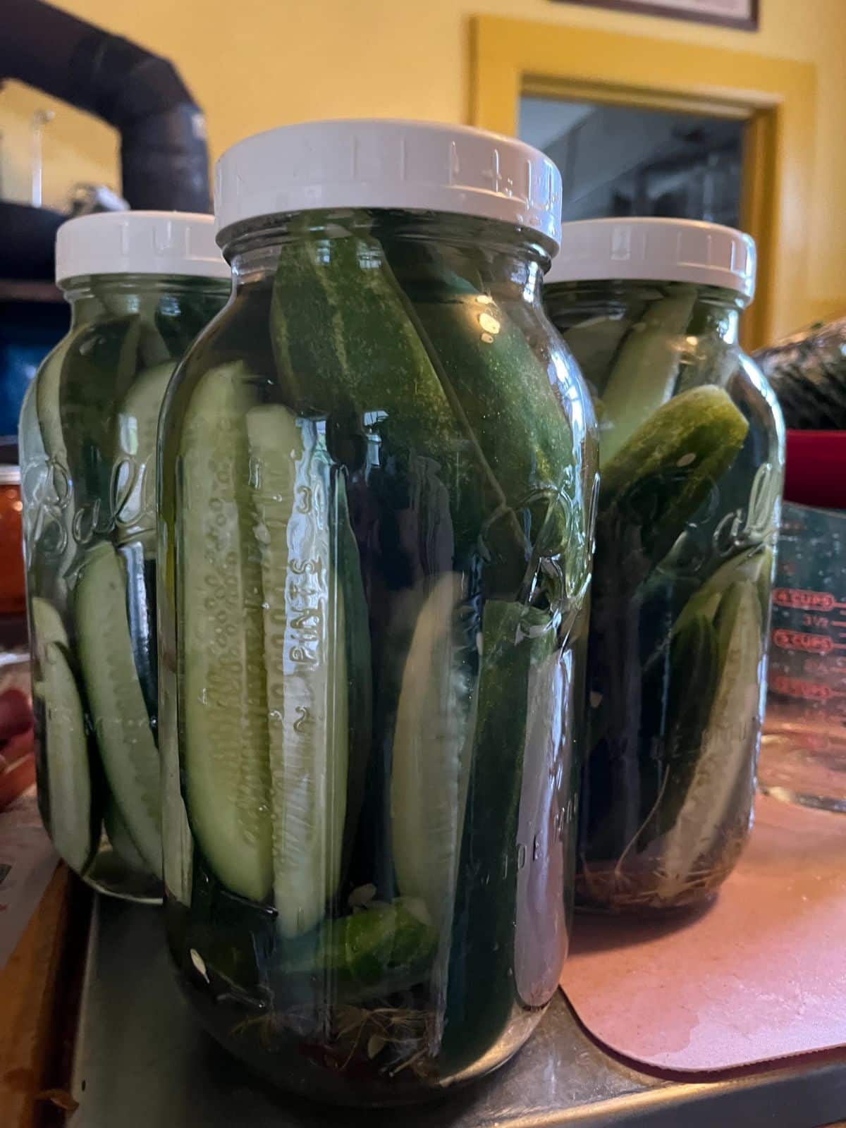 Large half-gallon jars filled with refrigerator pickles