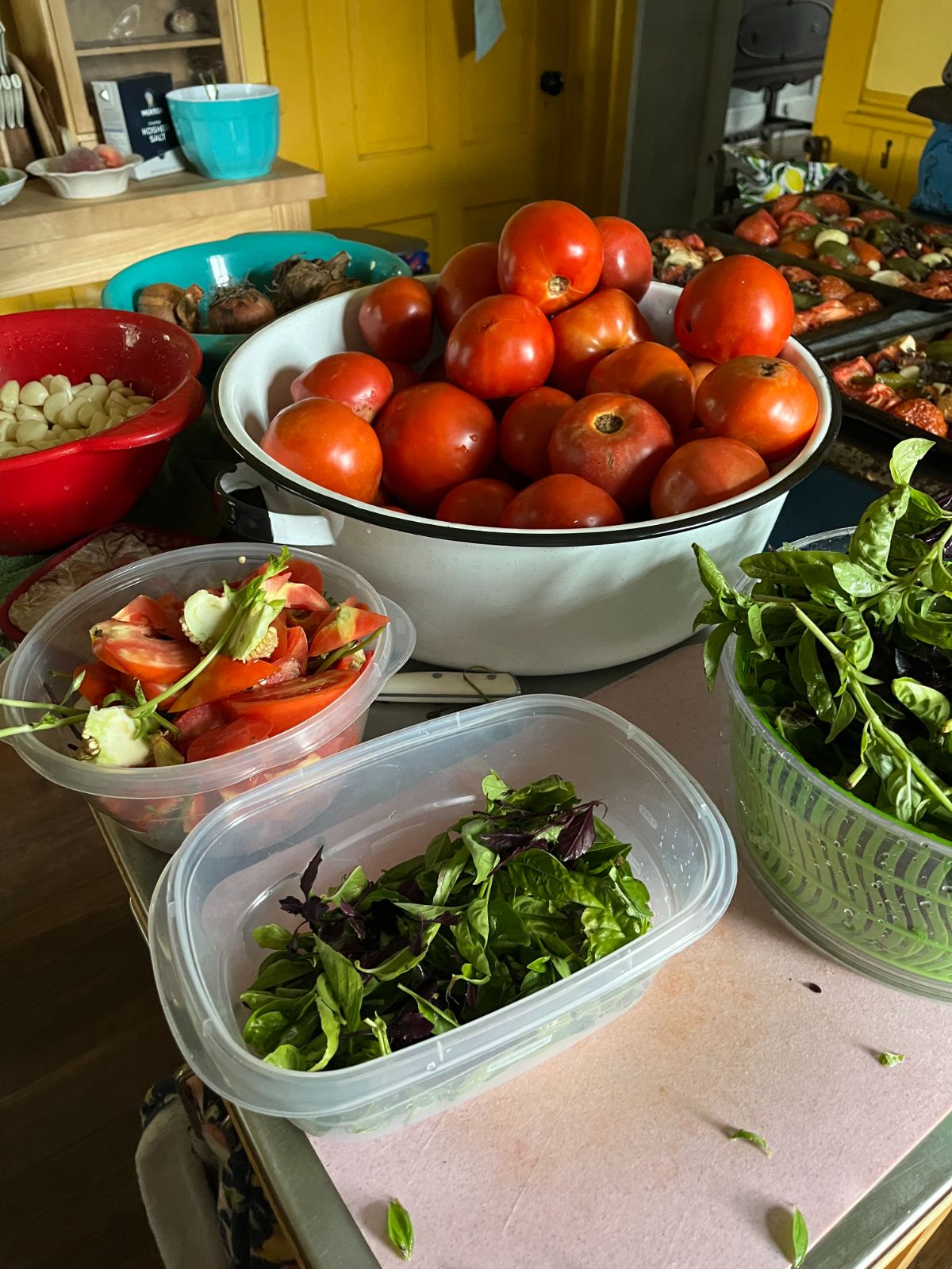 Fresh tomatoes, basil, garlic, and peppers gathered to make roasted tomato sauce