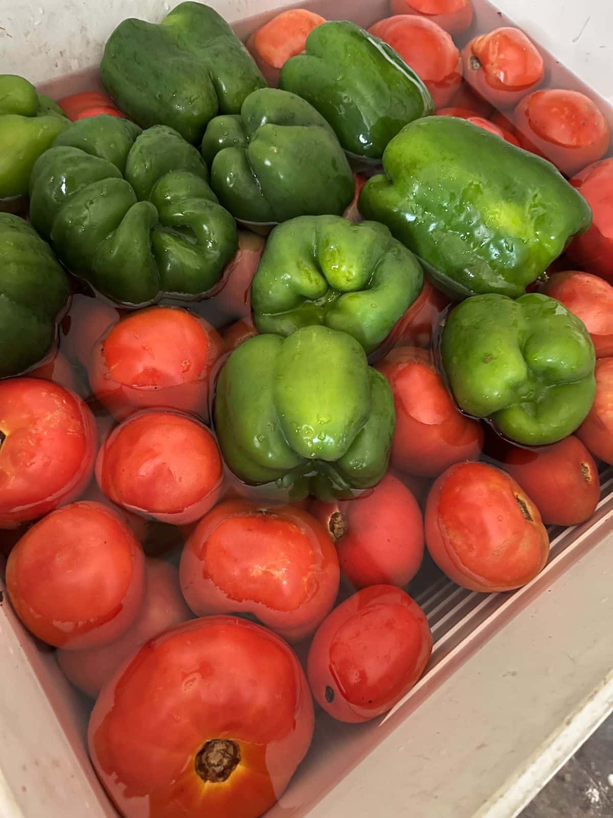 Tomatoes and peppers soaking in vinegar and water 