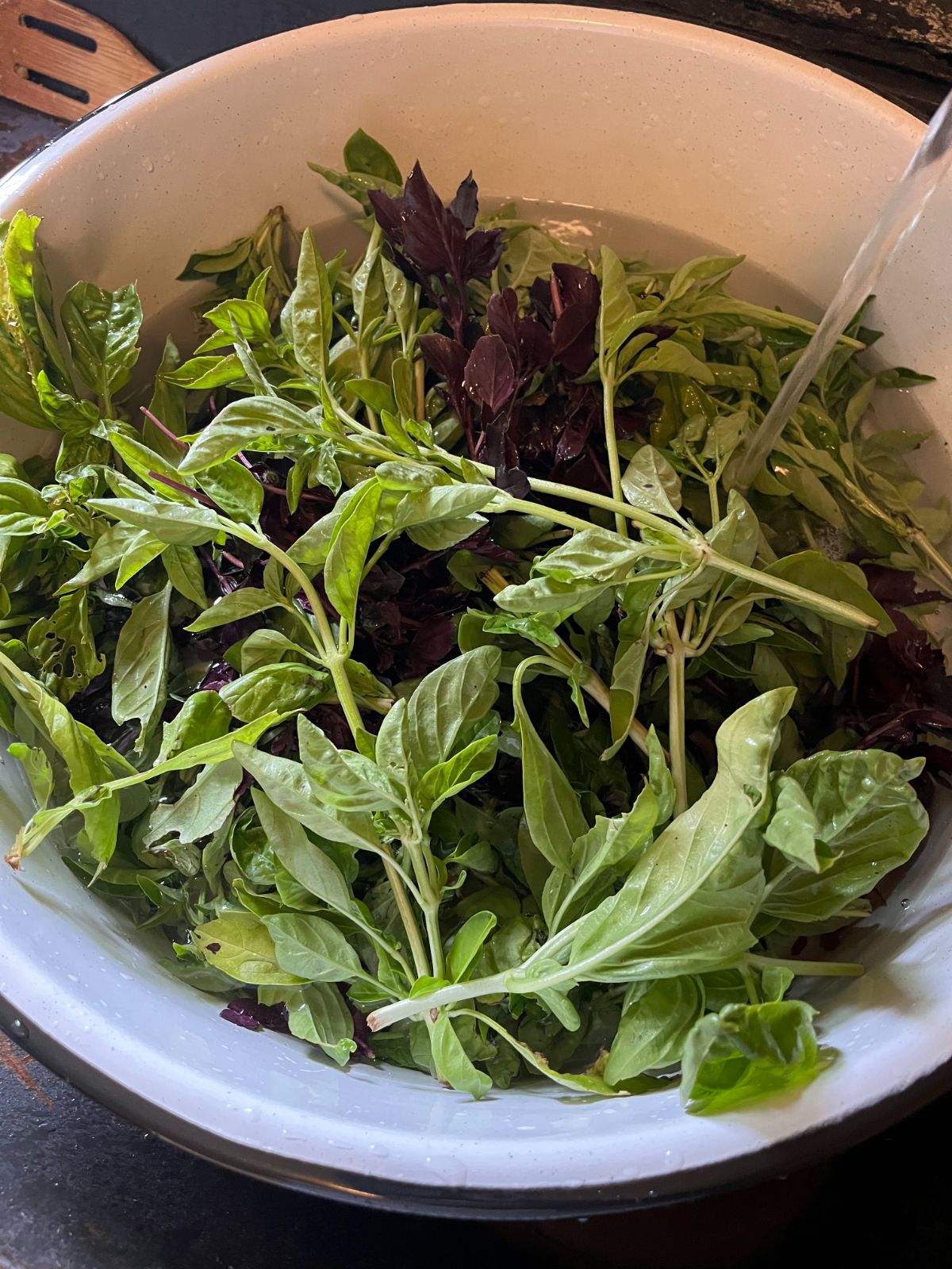 A large bowl of fresh green and purple basil