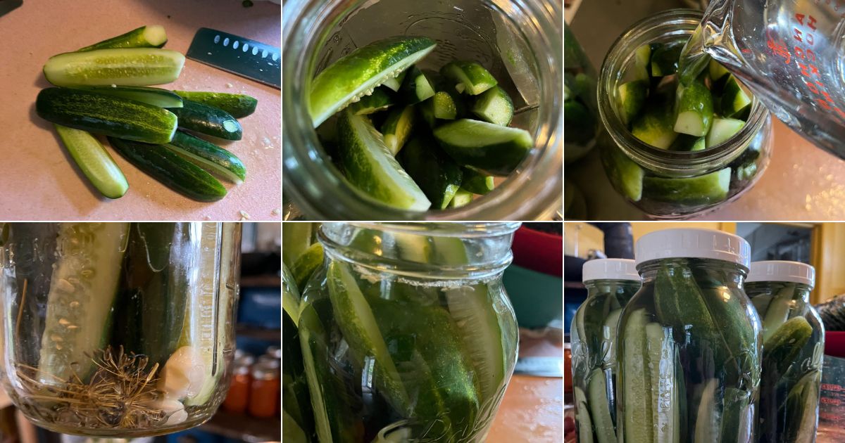 Step by step pictures of making refrigerator dill pickles