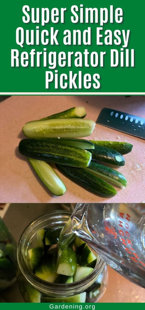Super Simple Quick and Easy Refrigerator Dill Pickles pinterest image.